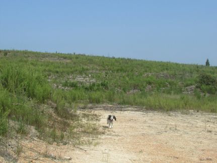 Residential Property in Marlboro County, South Carolina