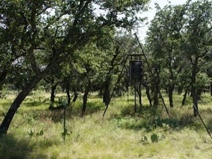 Farm Property for sale in Schleicher County, Texas