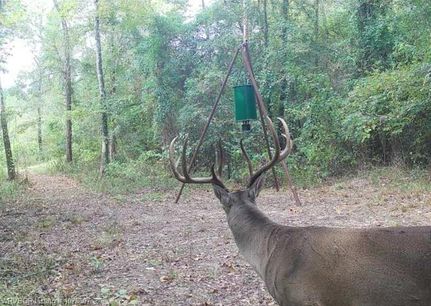 Farm Property for sale in Choctaw County, Oklahoma