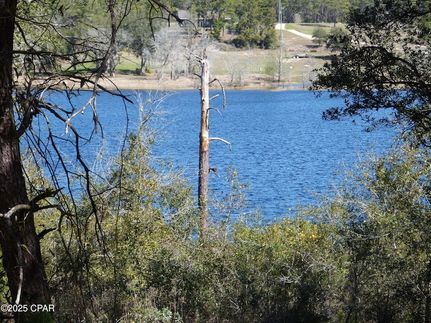 Waterfront Property in Washington County, Florida