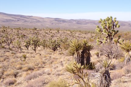 Undeveloped Land for sale in Mohave County, Arizona