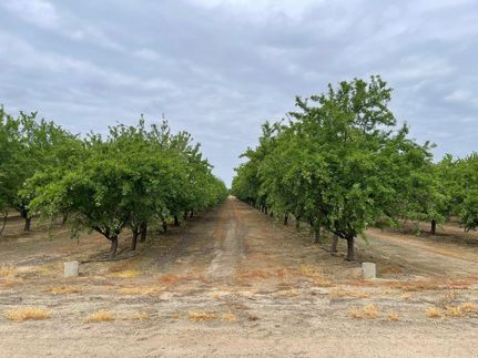 Property for sale in Madera County, California