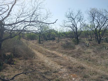 Hunting Land for sale in Llano County, Texas