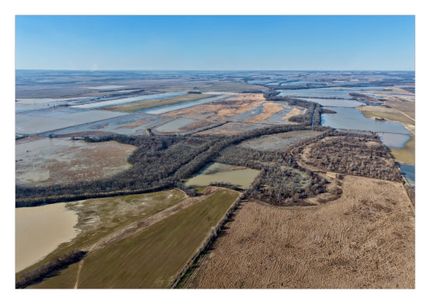 Timberland Property for sale in Woodruff County, Arkansas