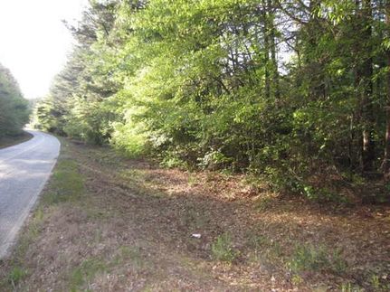 Recreational Property in Coweta County, Georgia