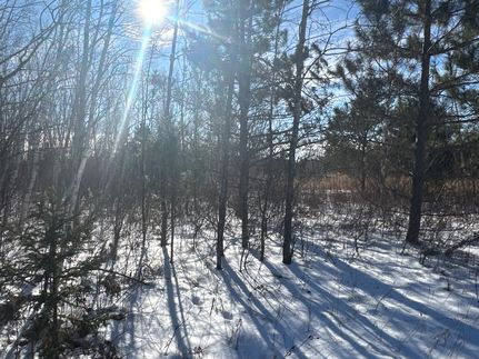Farm Property in Washburn County, Wisconsin