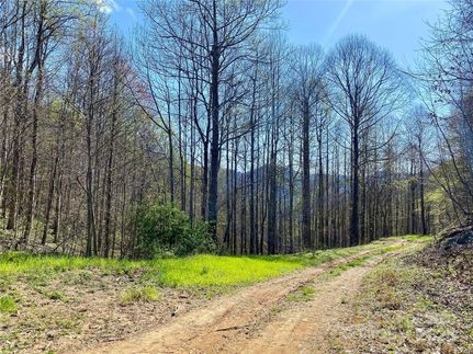 Farm Property for sale in Madison County, North Carolina