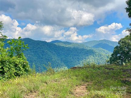 Ranch Property for sale in Madison County, North Carolina