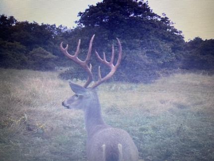 Ranch Property for sale in Mills County, Texas