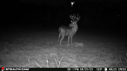 Farm Property for sale in Drew County, Arkansas