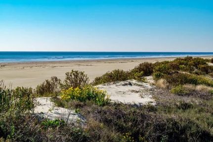 Farm Property for sale in Calhoun County, Texas