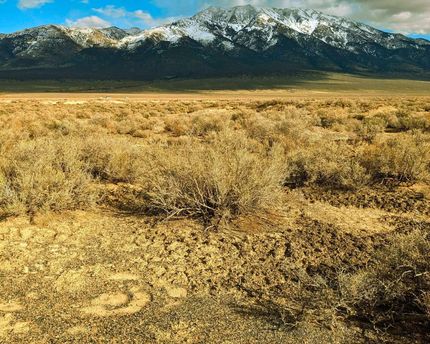 Undeveloped Land in Elko County, Nevada