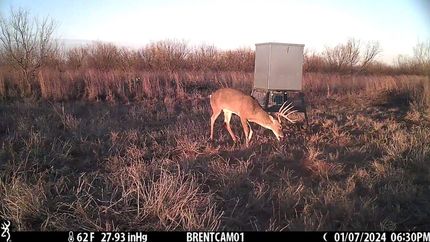 Hunting Land in Jones County, Texas