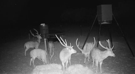 Farm Property for sale in Edwards County, Texas