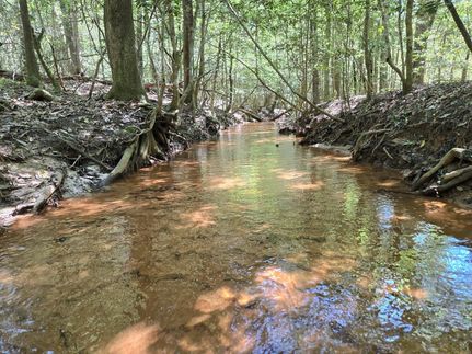 Property for sale in Pike County, Alabama