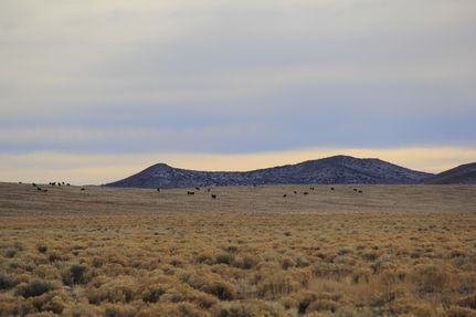 Recreational Property for sale in Costilla County, Colorado