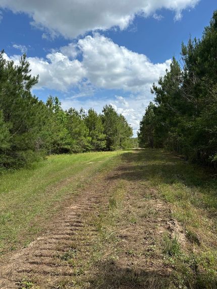 Recreational Property for sale in Covington County, Alabama