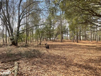 Ranch Property in Marlboro County, South Carolina