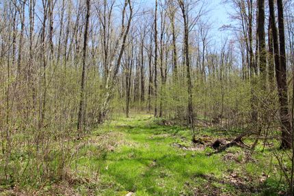 Farm Property for sale in Taylor County, Wisconsin