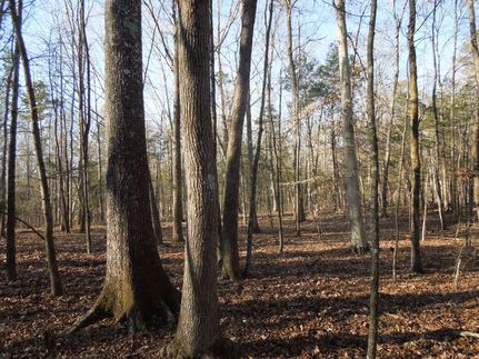 Property for sale in Granville County, North Carolina