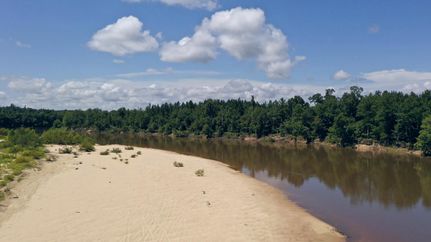 Farm Property for sale in Santa Rosa County, Florida