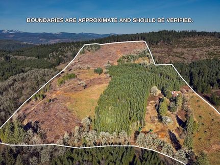 Undeveloped Land in Yamhill County, Oregon