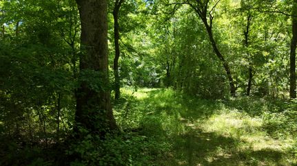 Recreational Property for sale in Madison County, Mississippi