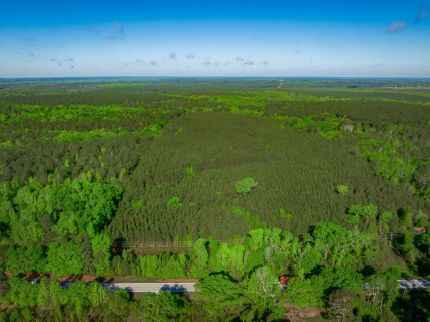 Farm Property for sale in Burke County, Georgia