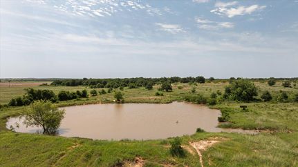 Undeveloped Land for sale in Eastland County, Texas