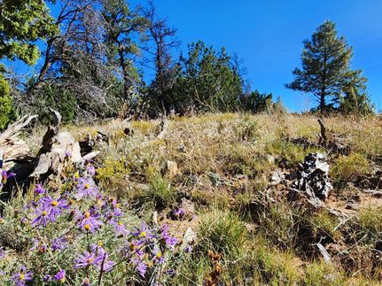 Farm Property for sale in Cibola County, New Mexico
