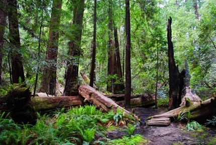 Ranch Property for sale in Humboldt County, California
