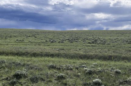 Horse Property for sale in Albany County, Wyoming