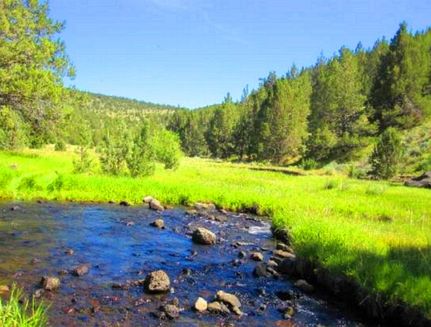 Property for sale in Modoc County, California