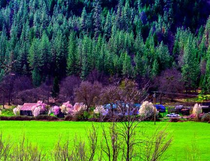 Property for sale in Siskiyou County, California