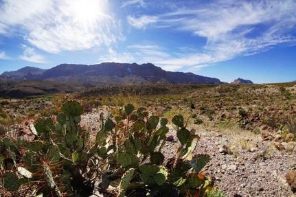 Ranch Property for sale in Presidio County, Texas