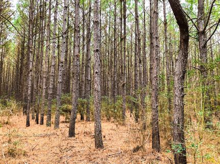 Farm Property for sale in Tyler County, Texas