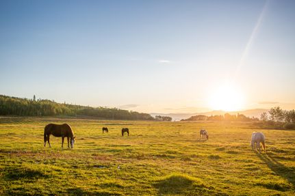 Hunting Land for sale in Grand County, Colorado
