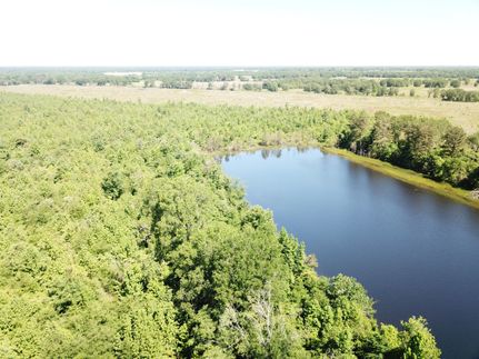 Timberland Property for sale in Bowie County, Texas