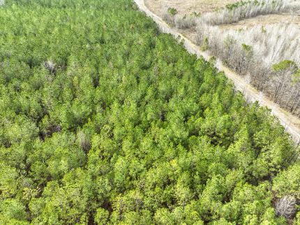 Recreational Property for sale in Montgomery County, Alabama