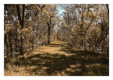 Ranch Property for sale in Jefferson County, Arkansas