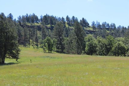 Recreational Property for sale in Crook County, Wyoming