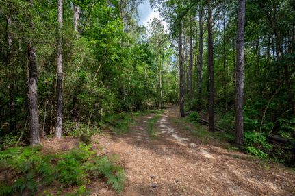 Timberland Property for sale in Tyler County, Texas