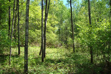 Farm Property for sale in Oneida County, Wisconsin