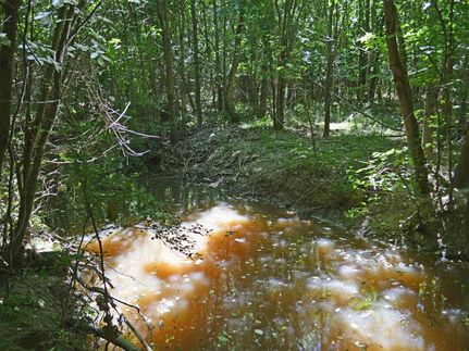 Farm Property for sale in Lamar County, Texas