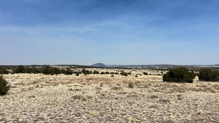 Undeveloped Land for sale in Catron County, New Mexico