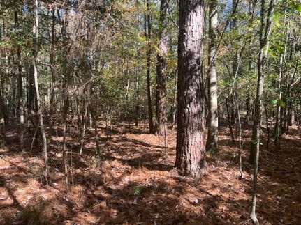 Farm Property for sale in Wayne County, Mississippi