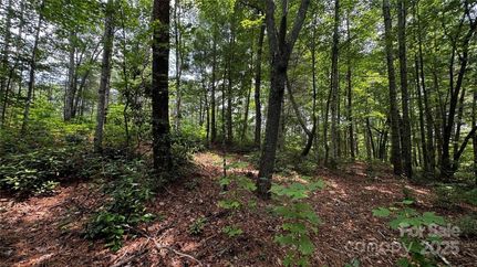 Recreational Property for sale in Caldwell County, North Carolina