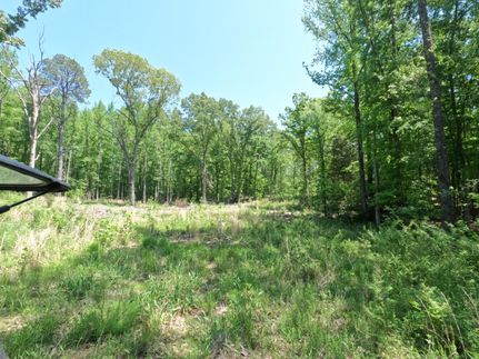 Hunting Land for sale in Alcorn County, Mississippi