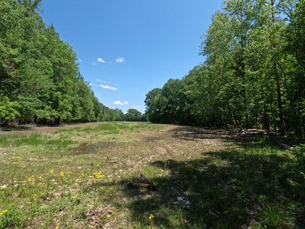 Farm Property for sale in Alcorn County, Mississippi
