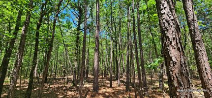 Farm Property for sale in Red River County, Texas